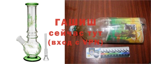 стаф Кодинск