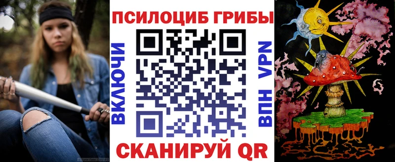 Купить  Химки  Псилоцибиновые грибы GOLDEN TEACHER 